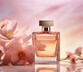 Parfüm Çeşitleri